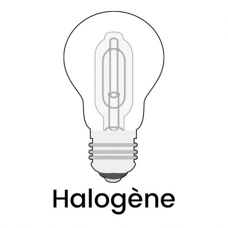 Lot d'ampoules Halogènes 3 x 60 W (E27)