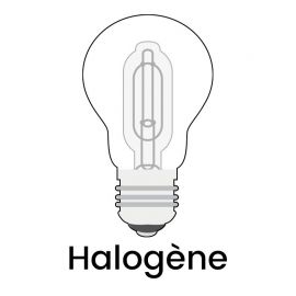 Lot d'ampoules Halogènes 2 x 46 W (E14)